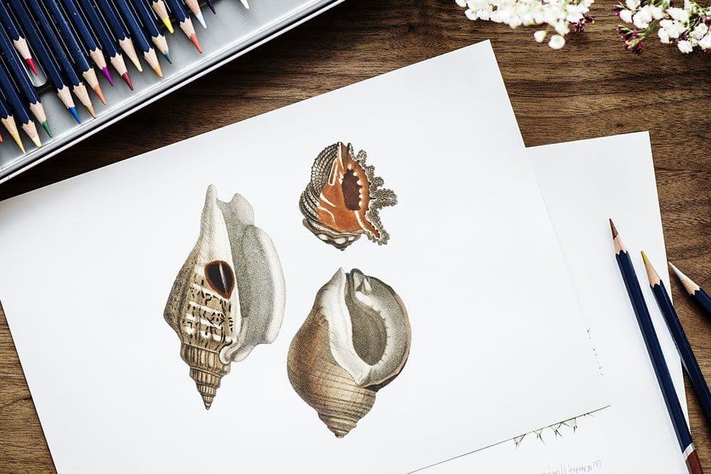 How To Blend Colored Pencils The Right Way