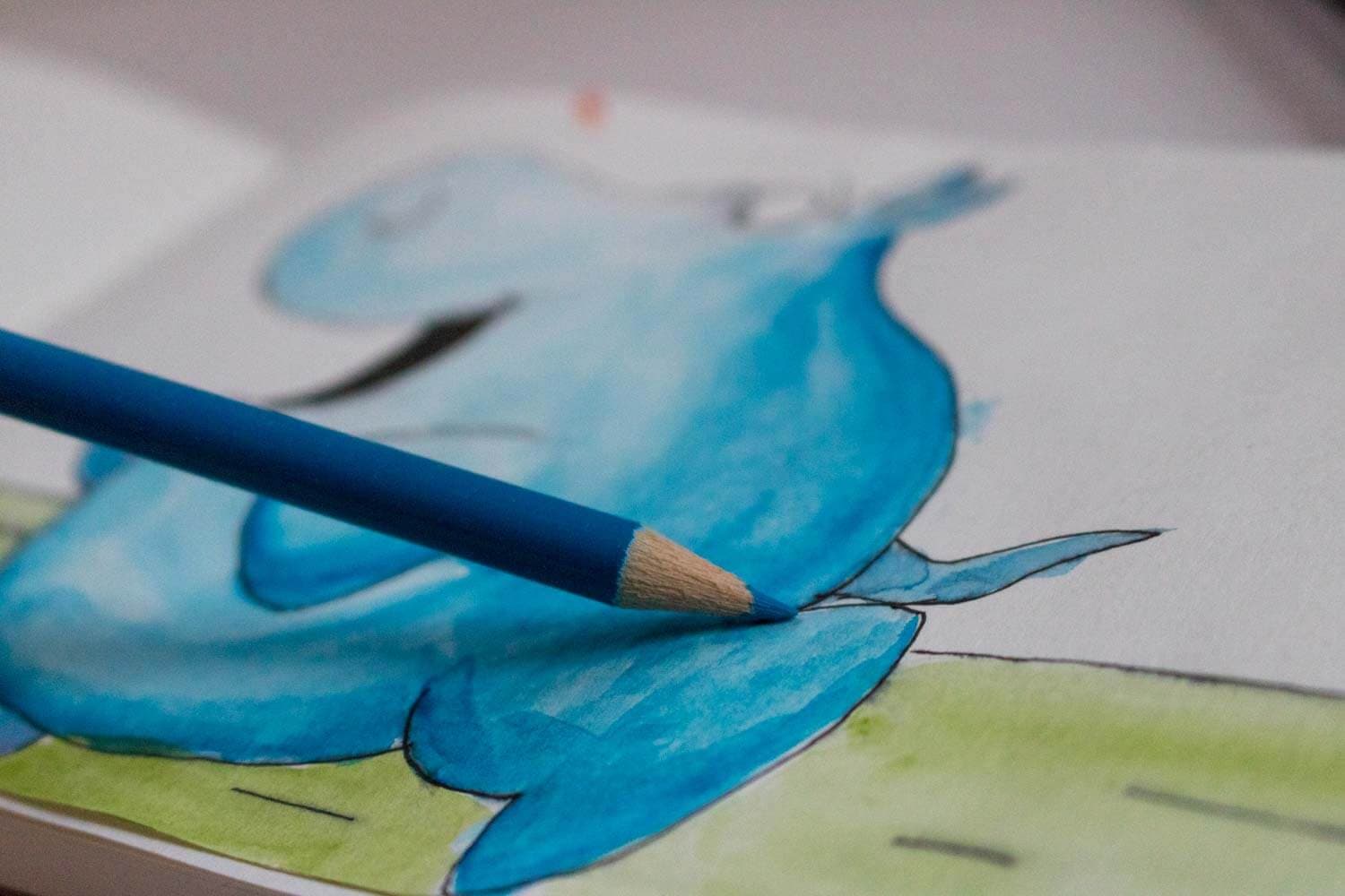 Best Watercolor Pencils